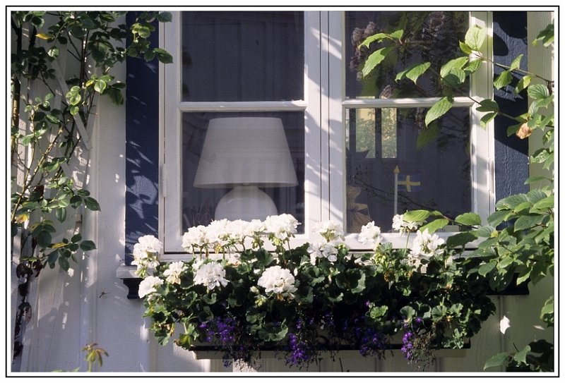 Home suede home.jpg